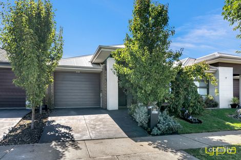 21 Springleaf Ave, Clyde North, VIC 3978