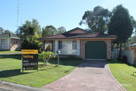 Property photo of 19 Everitt Place Watanobbi NSW 2259