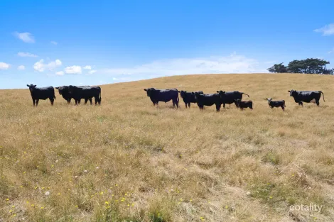 107 Cooks Rd, Thorpdale, VIC 3835