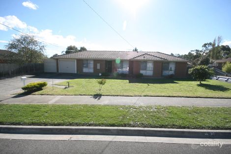 51 Selkirk Ave, Wantirna, VIC 3152