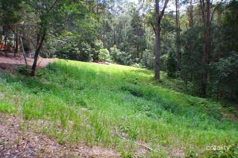 Property photo of 162 Mooloolah Meadows Drive Diamond Valley QLD 4553