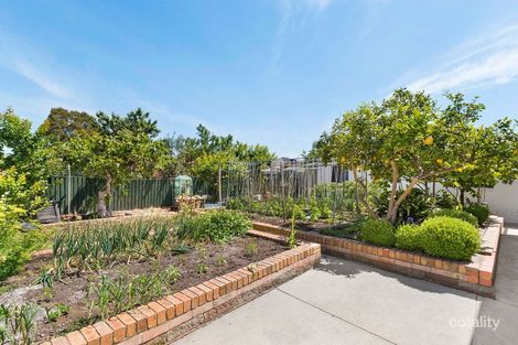 Property photo of 25 Denys Street Fawkner VIC 3060