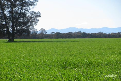 497 Nuable Rd, Bohena Creek, NSW 2390