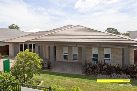 6 Amalia St, Birkdale, QLD 4159