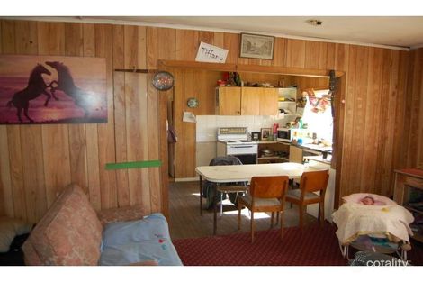 Property photo of 55 Hospital Flat Road Tingha NSW 2369