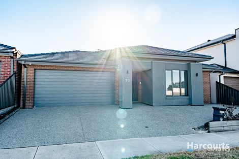 Property photo of 36 Arcturus Drive Kalkallo VIC 3064
