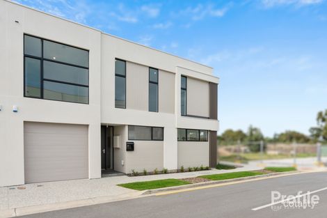 Property photo of 7 Neighbour Road West Lakes SA 5021