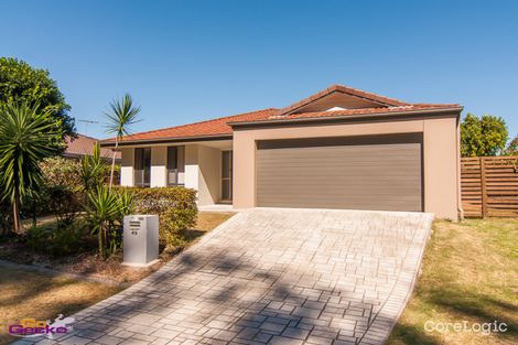 Property photo of 49 Macaranga Crescent Carseldine QLD 4034