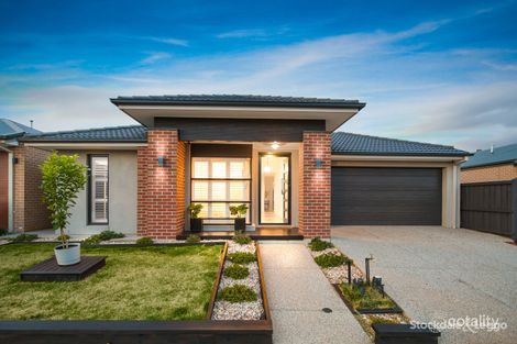 19 Blueberry St, Greenvale, VIC 3059