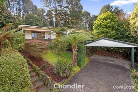 Property photo of 29 Blackwood Street Tecoma VIC 3160