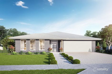 Property photo of 19 Breakwell Road Cameron Park NSW 2285