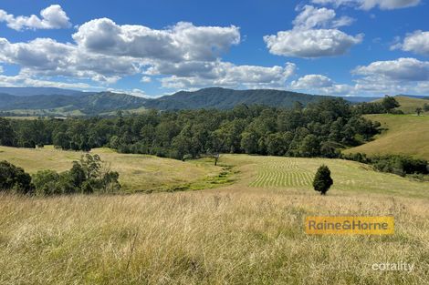 Property photo of 2127 Salisbury Road Salisbury NSW 2420