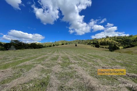 Property photo of 2127 Salisbury Road Salisbury NSW 2420