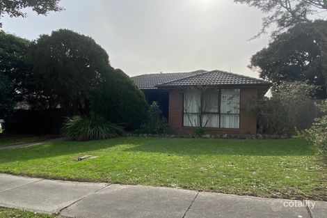 8 Cassia Ct, Endeavour Hills, VIC 3802