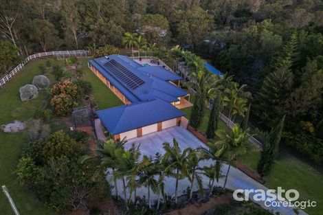 Property photo of 173 Worongary Road Tallai QLD 4213