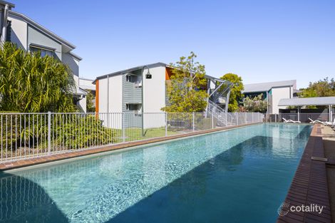 16/8 Varsityview Ct, Sippy Downs, QLD 4556