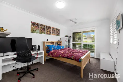 Property photo of 29 Lobe Street Bald Hills QLD 4036
