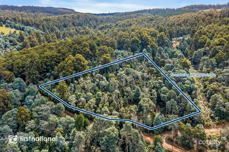 92 Lloyds Rd, Franklin, TAS 7113