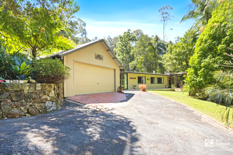 Property photo of 1382 Numinbah Road Chillingham NSW 2484
