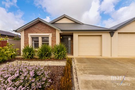 Property photo of 8 Laffer Avenue Nuriootpa SA 5355