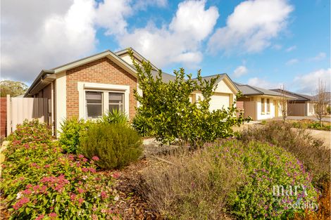 Property photo of 8 Laffer Avenue Nuriootpa SA 5355