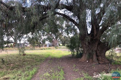 19 Londrigan Lane, Toolamba, VIC 3614