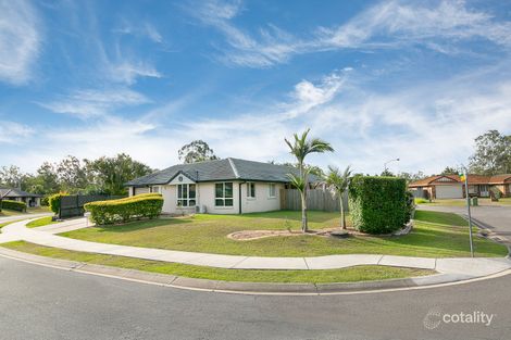 Property photo of 6 Maple Avenue Camira QLD 4300