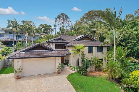 Property photo of 55 Yew Court Buderim QLD 4556