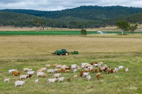 502 Oakfield Rd, Tansey, QLD 4601