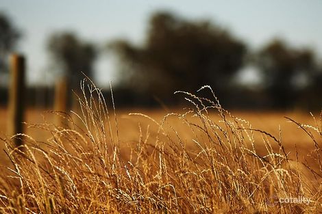 Property photo of 38/1025 Orton Road Oakford WA 6121