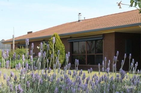 Property photo of 271 Perenna Road Netherby VIC 3418