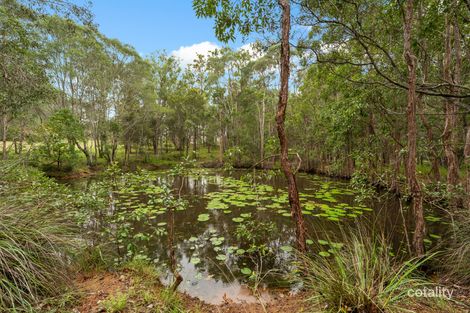 Property photo of 114 Orchard Road Mountain View NSW 2460