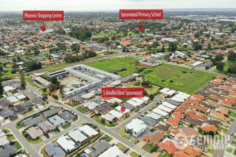 Property photo of 5 Ditullio Close Spearwood WA 6163