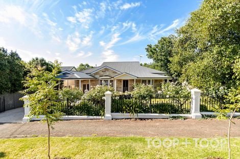 16 Haig St, Netherby, SA 5062