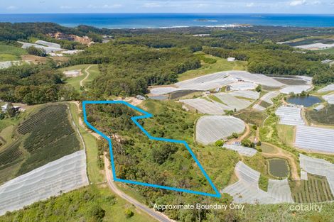 Property photo of 261 Morgans Road Sandy Beach NSW 2456