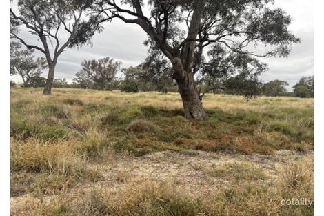 Property photo of Castlereagh Highway Walgett NSW 2832