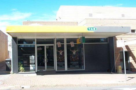 53 Brook St, Muswellbrook, NSW 2333