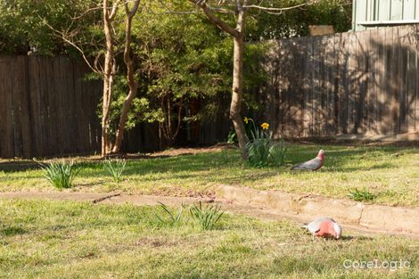 Property photo of 51 Foveaux Street Ainslie ACT 2602