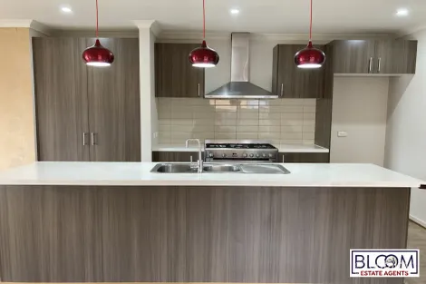 Property photo of 7 Cutleaf Crescent Tarneit VIC 3029