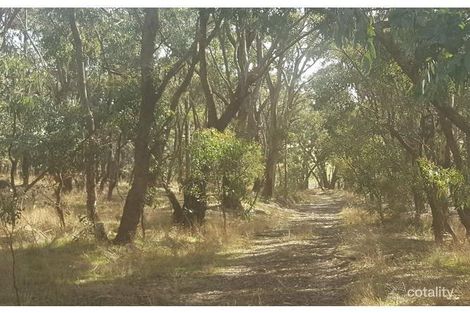 202 Yandoit-Sandon Rd, Yandoit Hills, VIC 3461