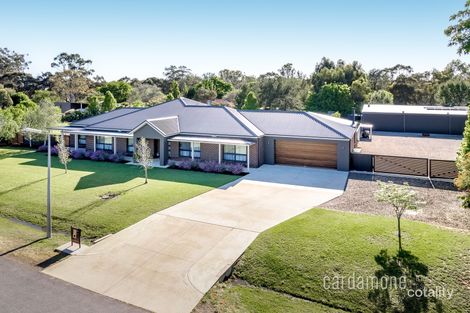 Property photo of 16 Baden Drive Toolamba VIC 3614