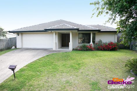 Property photo of 7 Apsley Crescent Parkinson QLD 4115