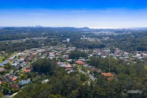 Property photo of 40 Hibertia Avenue Elanora QLD 4221