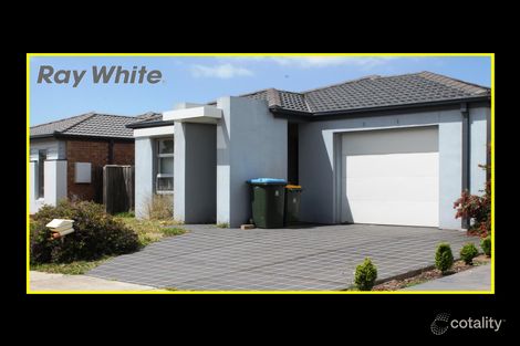 Property photo of 19 Storkbill Road Wyndham Vale VIC 3024
