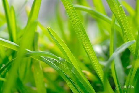 20 Iredell Rd, Huntley, NSW 2530