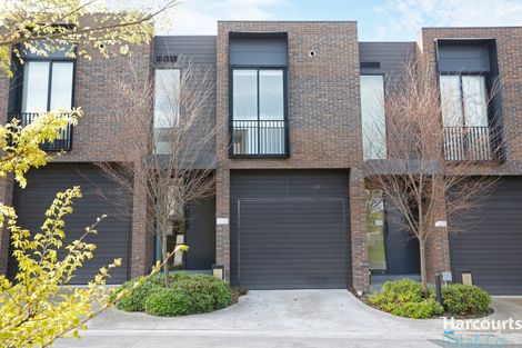 Property photo of 11 Eucalypt Avenue Malvern East VIC 3145