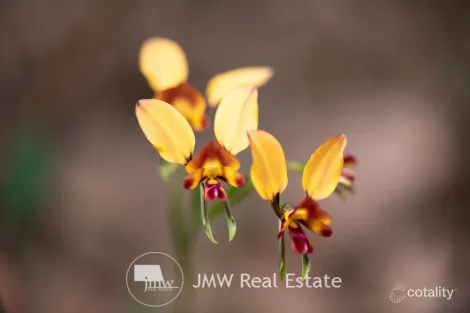 Property photo of 25 Gidgee Road Witchcliffe WA 6286