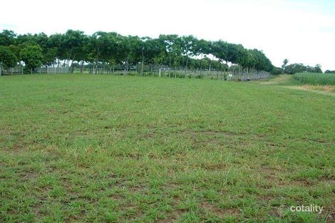 Property photo of 13 Lilliesmere Court Ayr QLD 4807