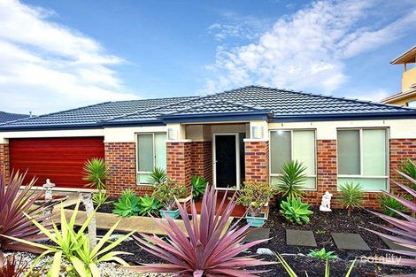 11 Elphin Cl, Lynbrook, VIC 3975