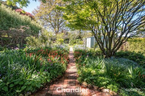 Property photo of 17 David Street Monbulk VIC 3793